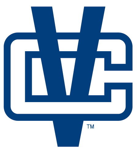Vancouver Canucks 2008 Unused Logo iron on heat transfer